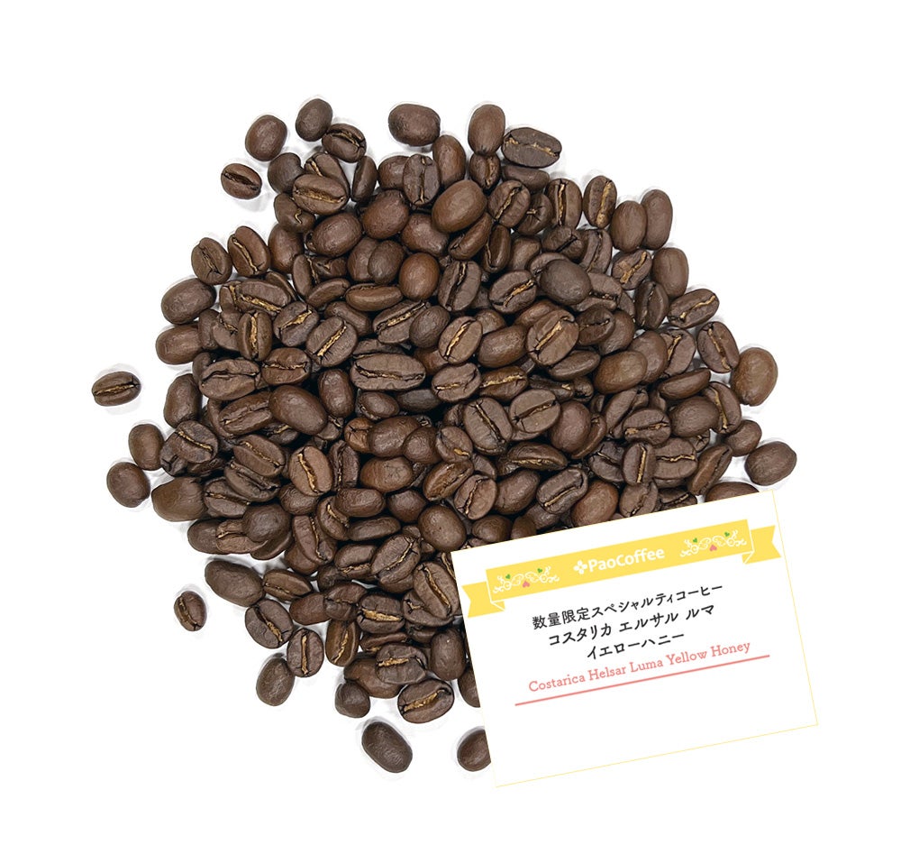 数量限定 コスタリカ エルサル ルマ イエローハニー | いりたて